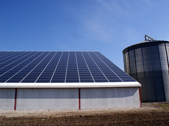 Hangar avec des ombrières solaires